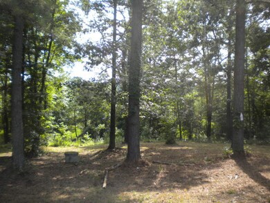 201 Stockbridge Dr, Selma, NC 27576 - photo 2