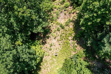 Lot 6 Hidden Forest Ln, Hayesville, NC 28904 - photo 7