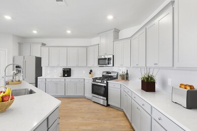 227 Tuscan Sun St, Ridgeville, SC 29472 - photo 6