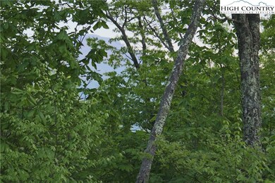 TBD Morgan's Ridge Drive #9 (Morgan's Ridge In Echota), Banner Elk, NC 28604 - photo 5