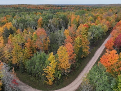 6149 N Ride Outs Rd, Foster City, MI 49834 - photo 4