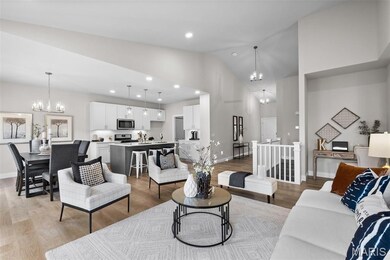 0 Unknown unit MIS25074457, Imperial, MO 63052 - photo 5