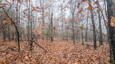 000 County Road 36, Gainesville, MO 65655 - photo 6