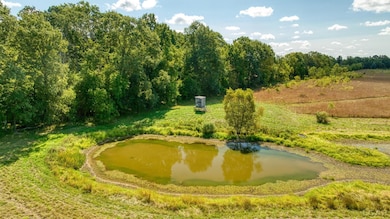 1704 E Carleton Rd, Adrian, MI 49221 - photo 7