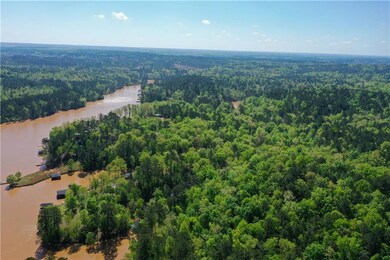 Drone / aerial view featuring a water view and a v