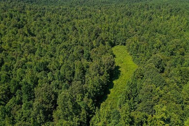 0 Chapman Rd, Falkner, MS 38629 - photo 5