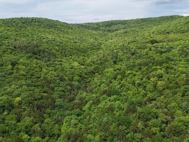 0 Chase Rd, Berlin, VT 05663 - photo 3