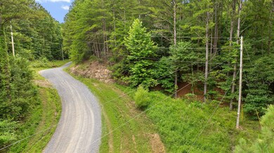 Tract 2 Conniston Rd, Chatsworth, GA 30705 - photo 3