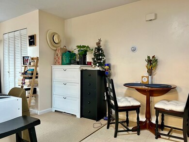 34 Clark St unit 13, Arlington, MA 02476 - photo 6