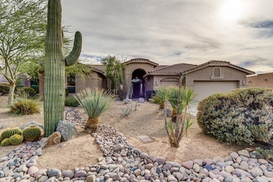 Gorgeous, naturally sculpted front yard