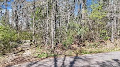 tbd Beechgrove Rd, Clinton, LA 70722 - photo 2