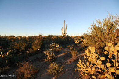 Natural Vegetation
