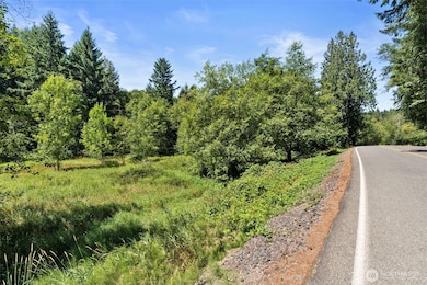 179 Halliday Rd, Centralia, WA 98531 - photo 3