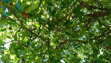 24206 105th Place W, Edmonds, WA 98020 - photo 3