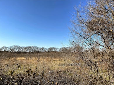 0 Sandhill Rd unit 20814518, Mineral Wells, TX 76067 - photo 3