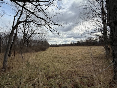 WP01 Caswell Rd, Freeville, NY 13068 - photo 3