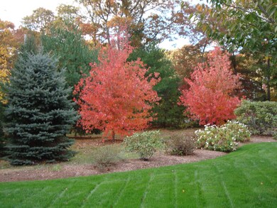 Seasons