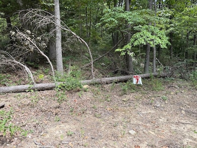 Tract 7 unit Terrapin Rd, Harrison, AR 72601 - photo 7