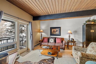 Carpeted living room with a baseboard radiator and a wood ceiling with exposed beams
