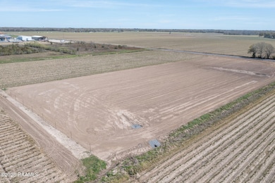 2111 Labit Rd, Broussard, LA 70518 - photo 6