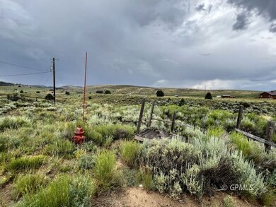 The Lots
