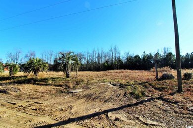 TBD W Highway 78, Conway, SC 29527 - photo 5