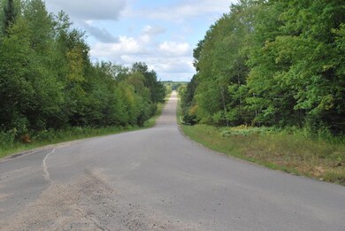 ON Cth P unit 37.90 Ac., Argonne, WI 54511 - photo 5