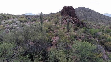 20150523_150809_resized_1