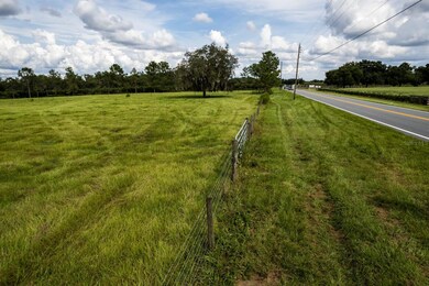 17937 County Road 448, Mount Dora, FL 32757 - photo 4