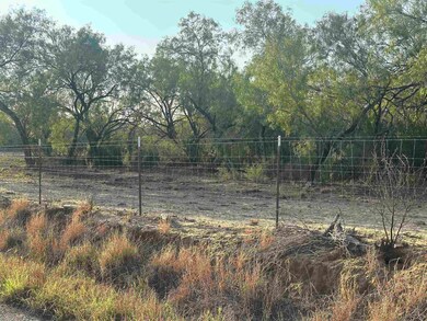 992 Jordan Rd unit 992 Jordan Rd Tract, Encinal, TX 78019 - photo 3