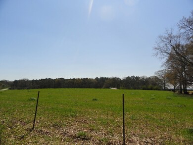 View from Back Yard 2