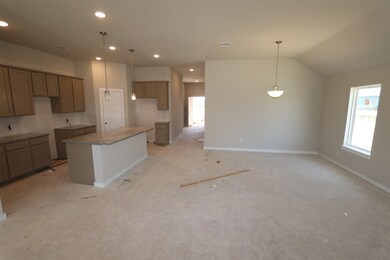 1187 Cavalry Junction Dr, Alvin, TX 77511 - photo 4