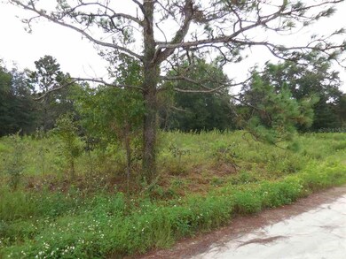 21630 SE 71st Place, Morriston, FL 32668 - photo 2