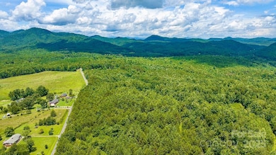 TBD Crutchfield Rd, Union Mills, NC 28167 - photo 4