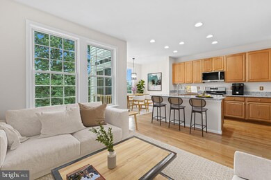 3310 Beechcliff Dr, Alexandria, VA 22306 - photo 7