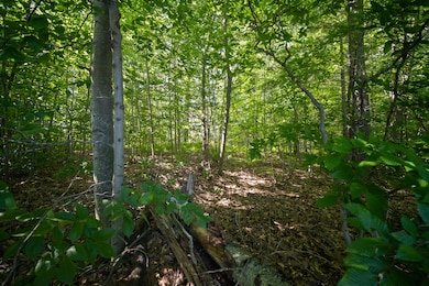 0 Emerald Ridge unit 29 22036088, Onekama Township, MI 49675 - photo 6