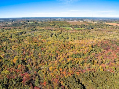 8653 Alder Ln, Suring, WI 54174 - photo 3