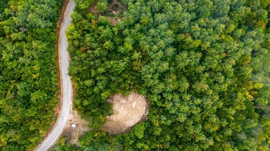 19-7 Winnipesaukee Dr unit Survey lot 7-Town lo, Wolfeboro, NH 03894 - photo 6