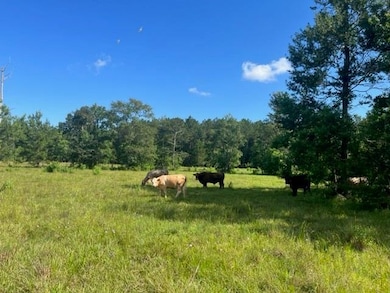 13.37 Acres Boyd Rd, Covington, LA 70435 - photo 2