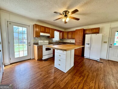 391 S Brown Ave, Sycamore, GA 31790 - photo 3