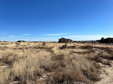 1392 N Blazing Star Ln, Pueblo West, CO 81007 - photo 3