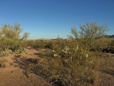 LAZY C RANCH ~ LOT 3