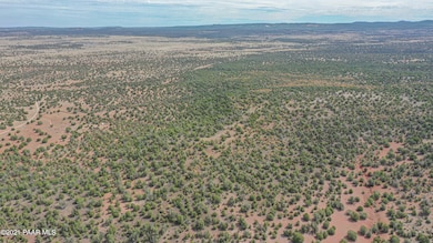 Lot 199 Juniperwood Ranch, Ash Fork, AZ 86320 - photo 5