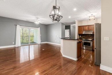 Dining area view