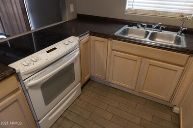 217 W Orchid Ln, Chandler, AZ 85225 - photo 5