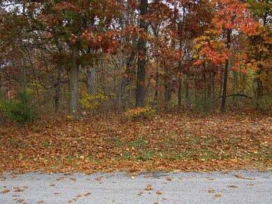 L74 Maltby Ln, Bella Vista, AR 72715 - photo 4