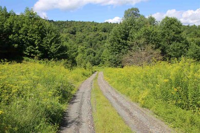 294 Vermont 64 unit Lot 2, Northfield, VT 05663 - photo 3