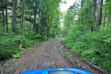 4304 Sinclair Ridge, Rowlesburg, WV 26425 - photo 2