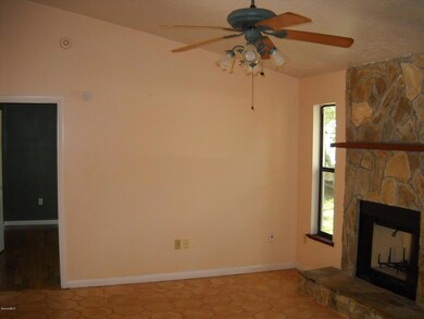 Vaulted Ceiling in Living room