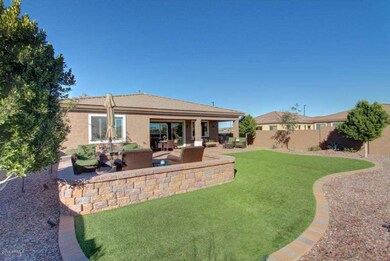 Professioanlly Landscaped Yard